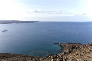 Bartholome, Galapagos Islands 056.jpg